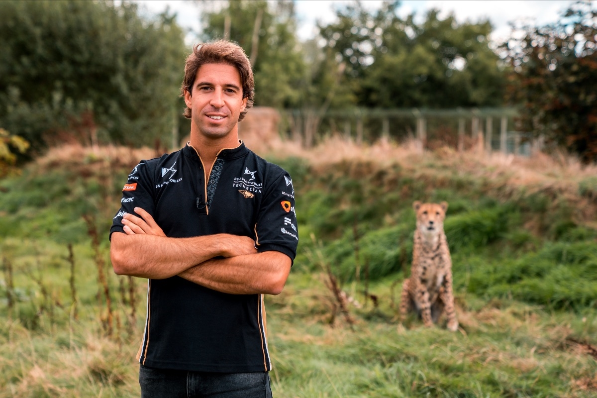 Felix-da-Costa-Techeetah-Announcement