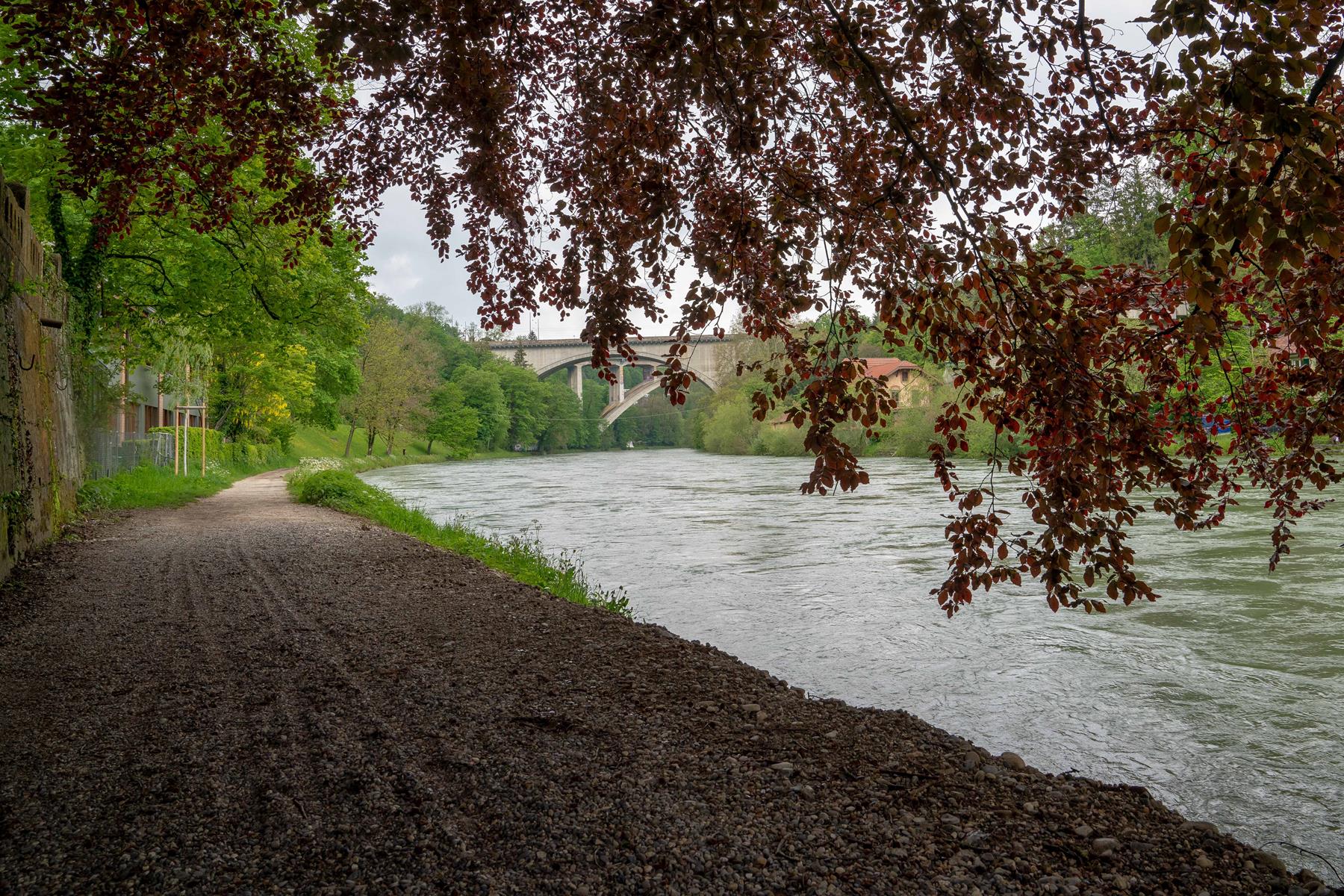 Ein Ort zum Verweilen: Der Aareweg lädt zum Spazieren ein.