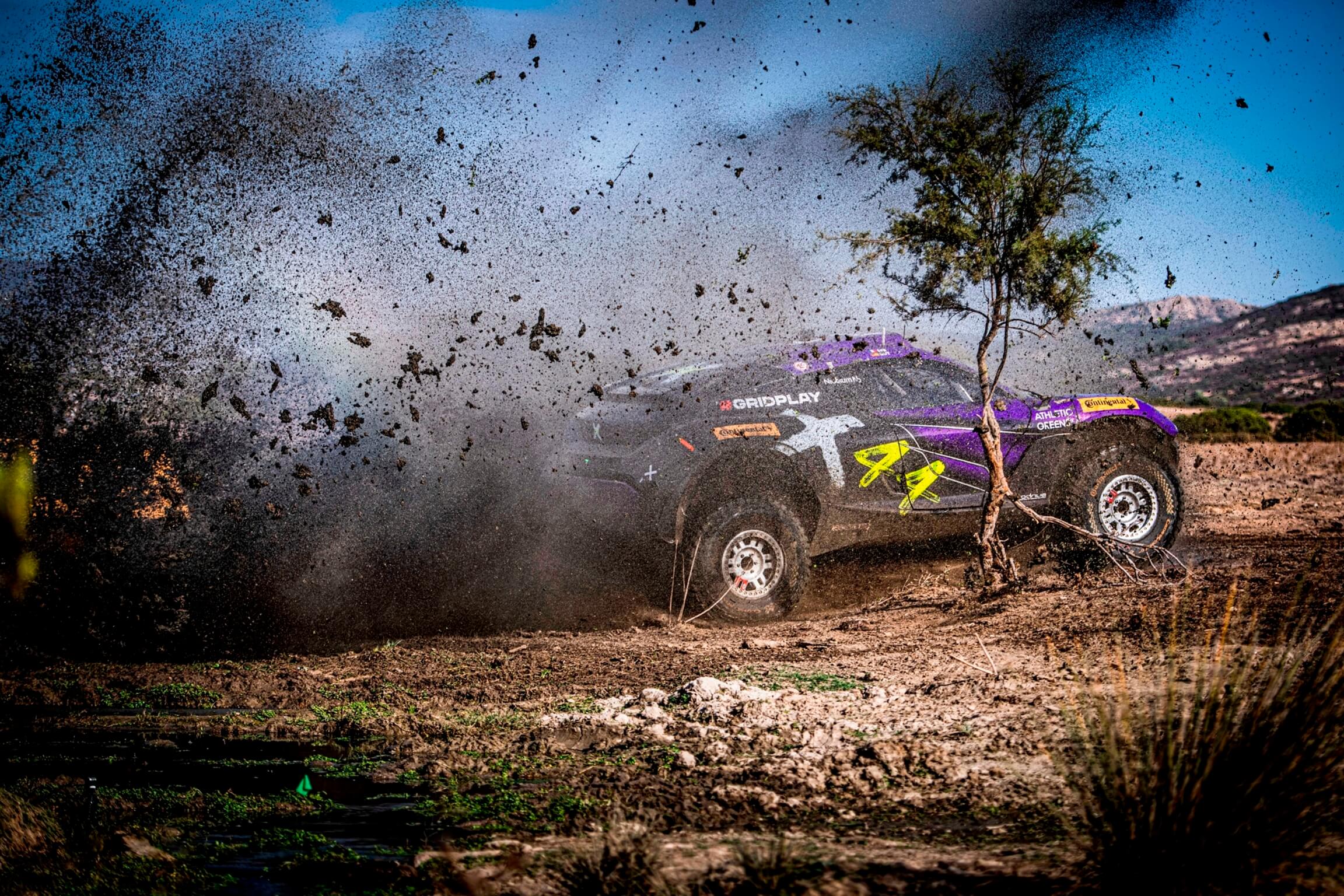 X44-Tree-Loeb-Gutierrez-Mud