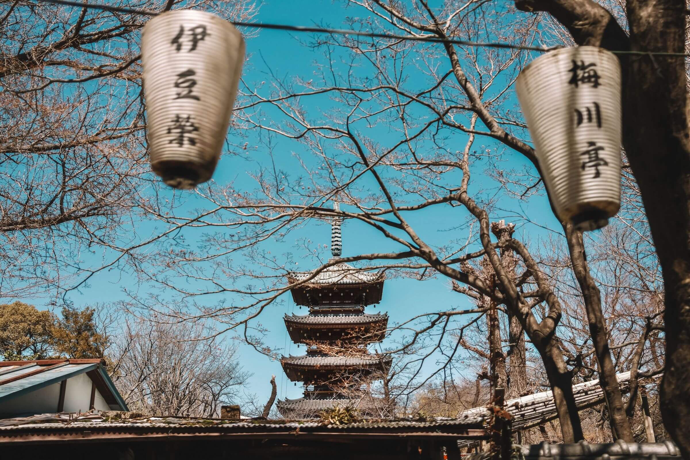 Japanese-Tower-Trees-Lamps